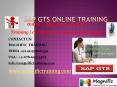 SAP GTS ONLINE TRAINING IN AUSTRALIA PowerPoint PPT Presentation