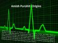 Amish Purohit: Origins PowerPoint PPT Presentation