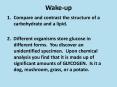 Wake-up PowerPoint PPT Presentation