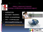 SAP RETAIL ONLINE TRAINING IN INDIA