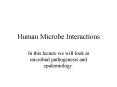 Human Microbe Interactions PowerPoint PPT Presentation