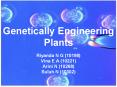 Genetically Engineering Plants PowerPoint PPT Presentation