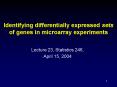 Identifying differentially expressed sets of genes in microarray experiments PowerPoint PPT Presentation