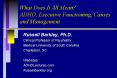 What Does It All Mean? ADHD, Executive Functioning, Causes and Management PowerPoint PPT Presentation