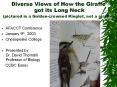 CREATION to EVOLUTION Diverse Views of How the Giraffe got its Long Neck (pictured is a Golden-crowned Kinglet, not a giraffe) PowerPoint PPT Presentation