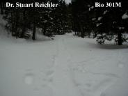 Dr. Stuart Reichler            Bio 301M