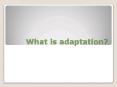 What is adaptation? PowerPoint PPT Presentation
