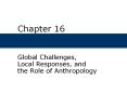 Global Challenges, Local Responses, and the Role of Anthropology PowerPoint PPT Presentation