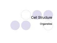 Cell Structure
