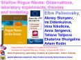 Shallow Rogue Waves: Observations,