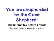 You are shepherded by the Great Shepherd!