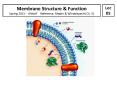 Membrane Structure PowerPoint PPT Presentation