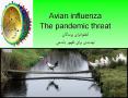 Avian influenza The pandemic threat ?????????? ??????? ?????? ???? ???? ?????? PowerPoint PPT Presentation