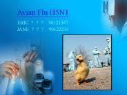 Avian Flu H5N1