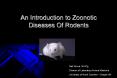 An Introduction to Zoonotic Diseases Of Rodents PowerPoint PPT Presentation