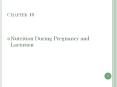 Nutrition During Pregnancy and Lactation PowerPoint PPT Presentation