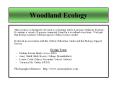 Woodland Ecology PowerPoint PPT Presentation