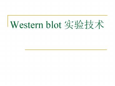 Western blot ????