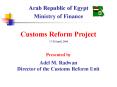Customs Reform Project PowerPoint PPT Presentation