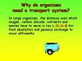 Why do organisms        need a transport system? PowerPoint PPT Presentation