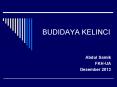 BUDIDAYA KELINCI PowerPoint PPT Presentation