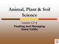 Animal, Plant PowerPoint PPT Presentation