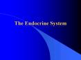 The Endocrine System PowerPoint PPT Presentation