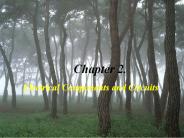 Electrical Components and Circuits