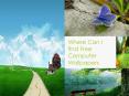 Where Can I find Free Computer Wallpapers PowerPoint PPT Presentation