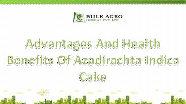 Azadirachta Indica Cake A Natural Fertilizer Features and Functions