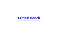 Critical Bench PowerPoint PPT Presentation