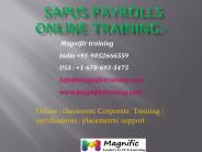 sap us payrolls online training hyderbad