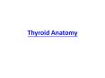 Thyroid Anatomy PowerPoint PPT Presentation