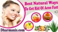 Best Natural Ways To Get Rid Of Acne Fast PowerPoint PPT Presentation