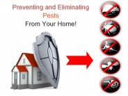 Preventing and Eliminating Pests From Your Home!
