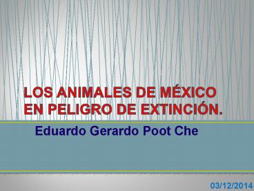 Animales de México en peligro de extinción (1)