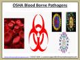 OSHA Blood Borne Pathogens PowerPoint PPT Presentation
