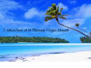 5 Attractions of St Thomas Virgin Islands