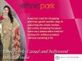 Ethnic Park Display latest Bollywood sarees collection (1)
