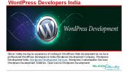 wordpress developers india (1)