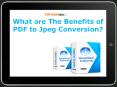 What are the benefits of pdf to jpeg conversion PowerPoint PPT Presentation