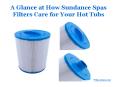 A Glance at How Sundance Spas Filters Care for Your Hot Tubs PowerPoint PPT Presentation
