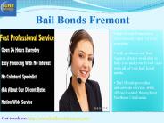 24 hour bail bonds
