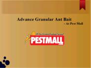 Advance Granular Ant Bait