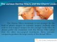 The various Derma Fillers and the Charm Looks (1) PowerPoint PPT Presentation