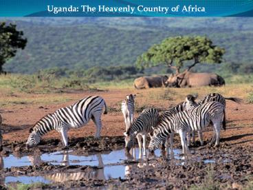 Uganda The Heavenly Country of Africa
