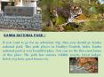 Visit Kanha National Park – Stay in Hornbill Resorts PowerPoint PPT Presentation