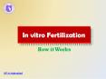 IVF in Hyderabad | Best IVF Centre in India | IVF Clinic in Hyderabad PowerPoint PPT Presentation