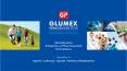 Glumex Pharmaceuticals Manufacturer India. PowerPoint PPT Presentation