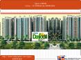 Ajnara Daffodil Resale Apartments Sector 137 Noida